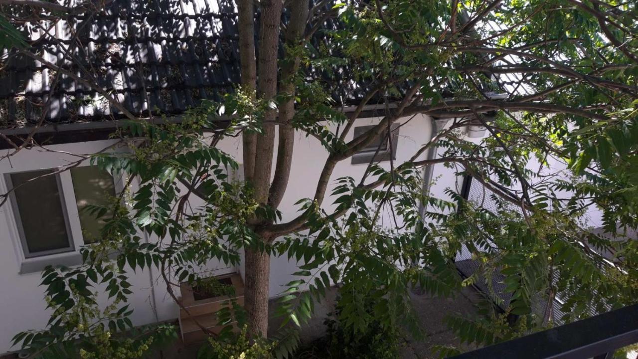 Apartment Eurho أوسييك المظهر الخارجي الصورة