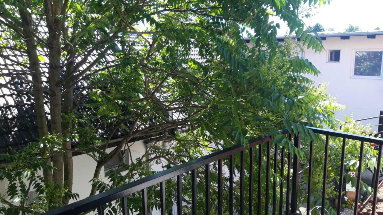 Apartment Eurho أوسييك المظهر الخارجي الصورة