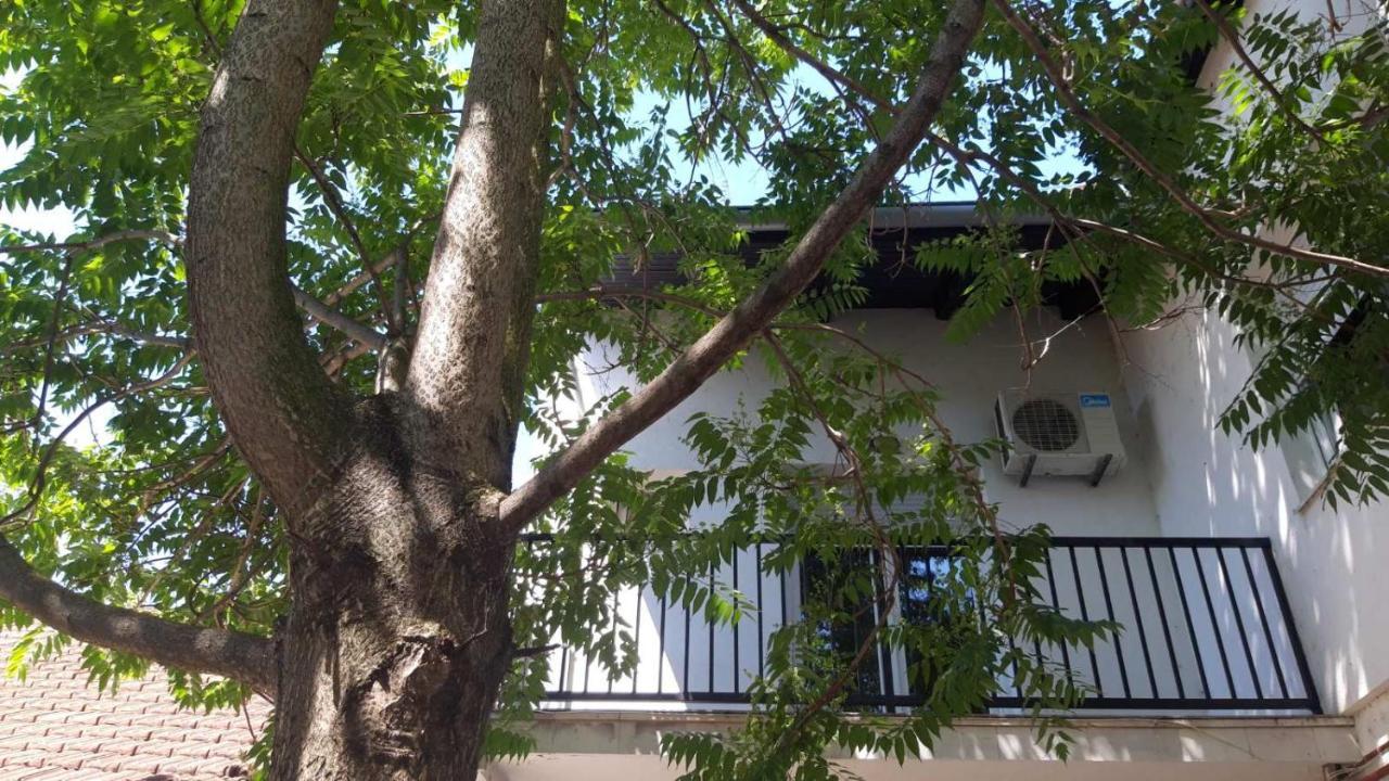 Apartment Eurho أوسييك المظهر الخارجي الصورة
